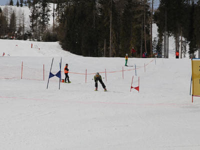 Riesentorlauf Hochstein Bild 278