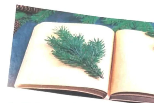 Vorweihnachtliche-Lesung